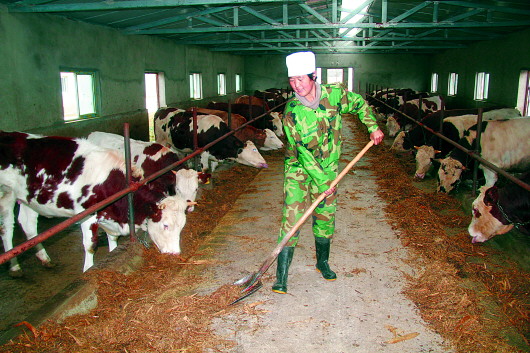品种牛羊常见疫病防控技术指导(试行)